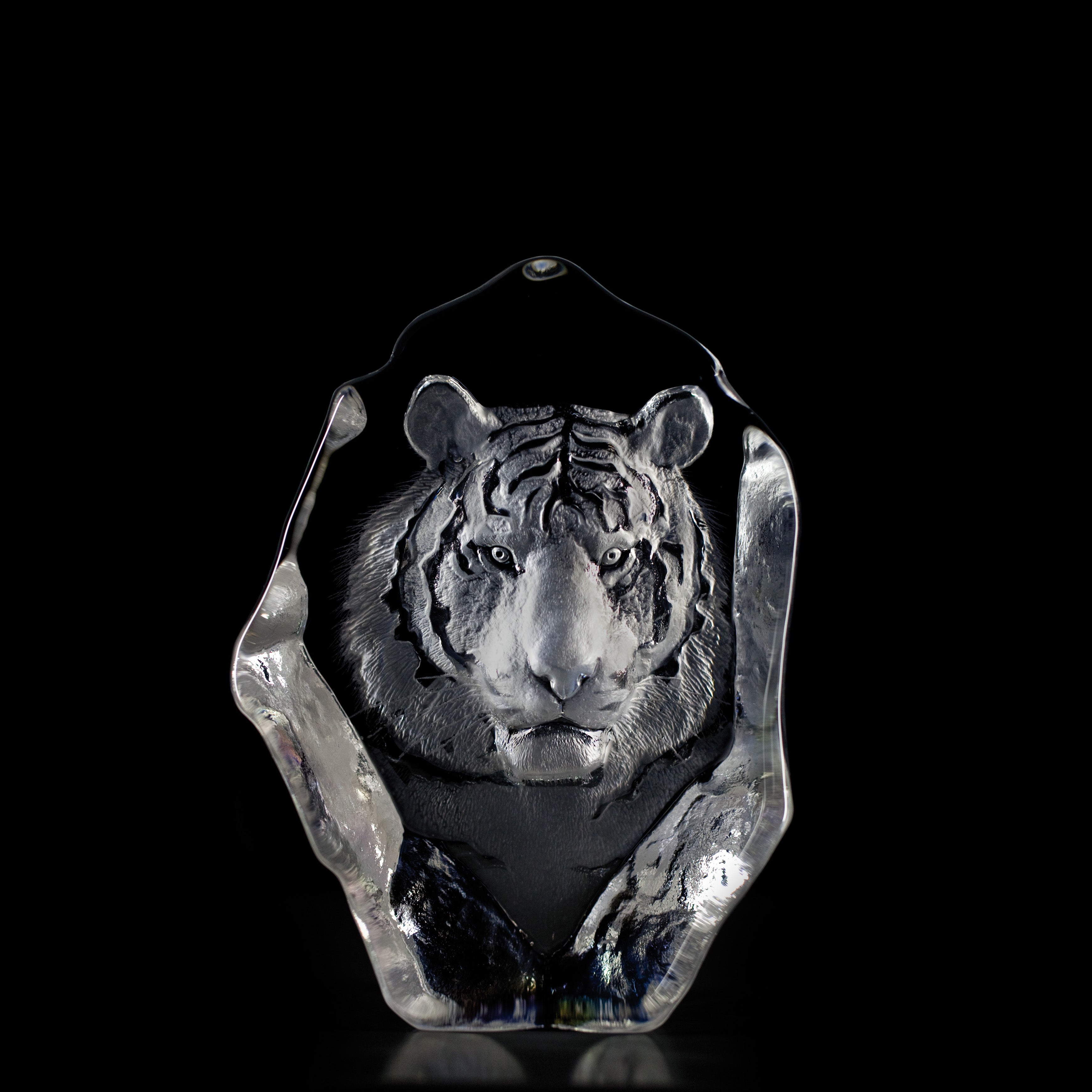 Målerås Wl Tiger clear