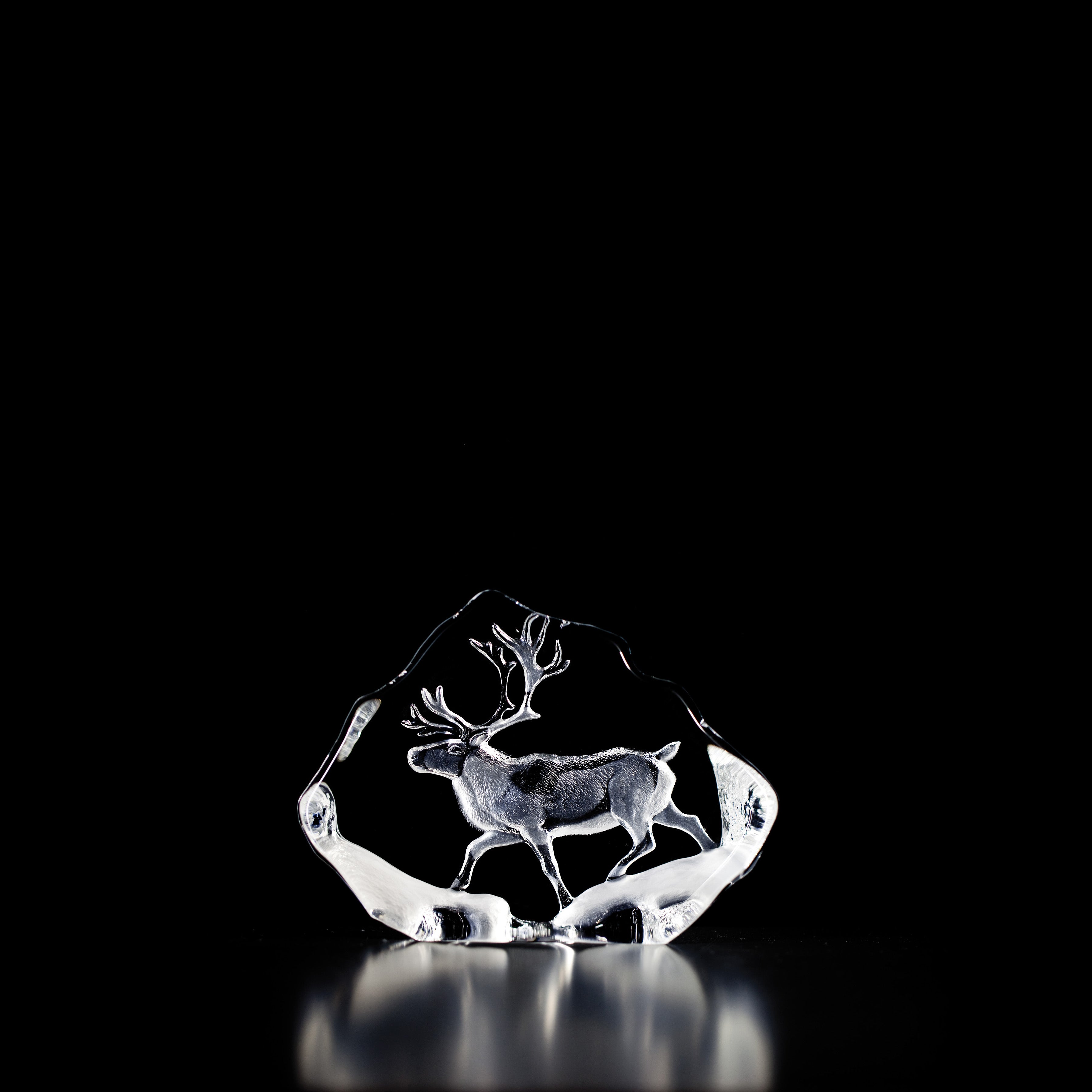 WL Reindeer clear mini