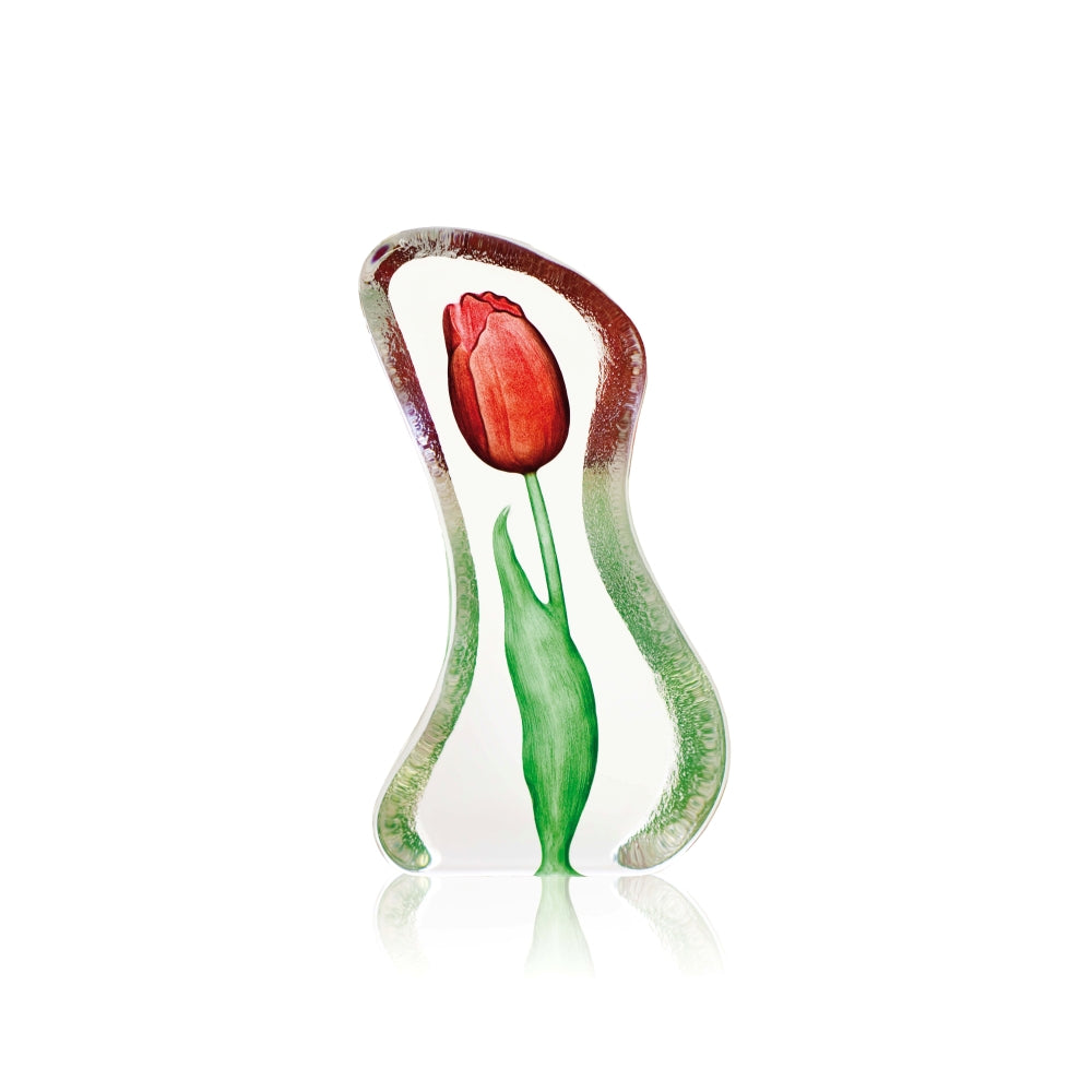 Målerås Fl Tulip red sm.