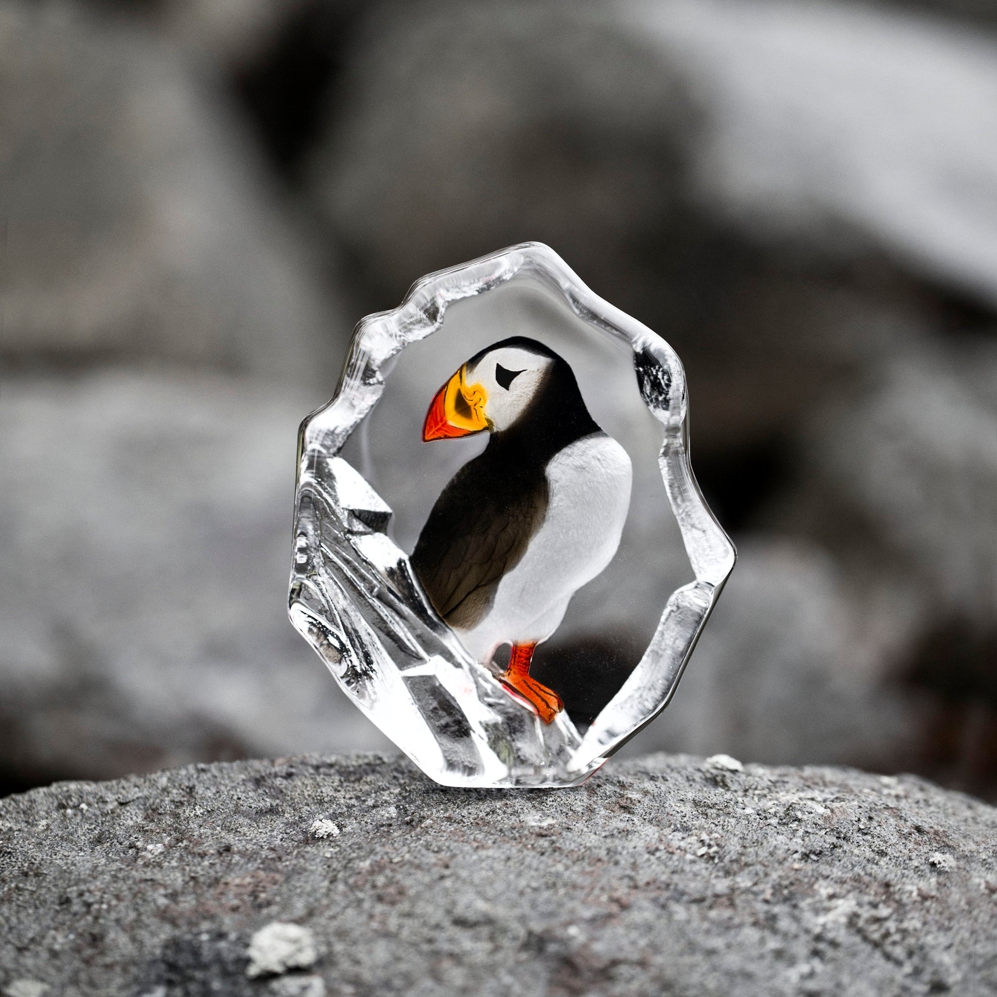 Puffin inside a crystal on a rocky surface