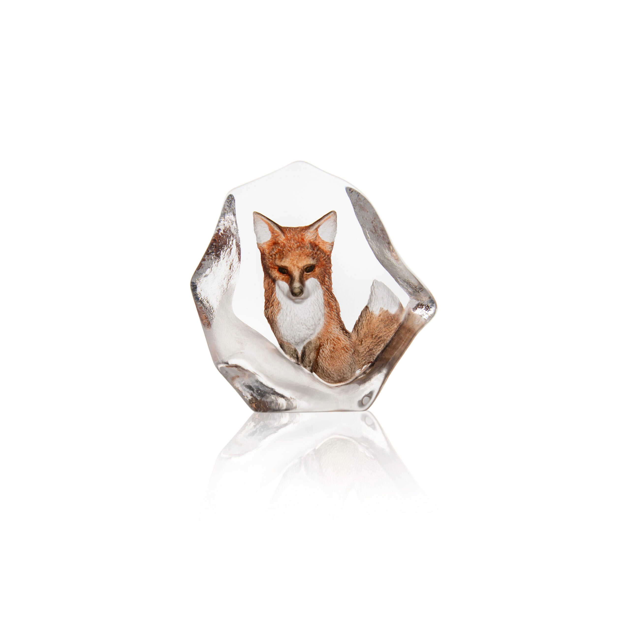 WL Fox - New 2024