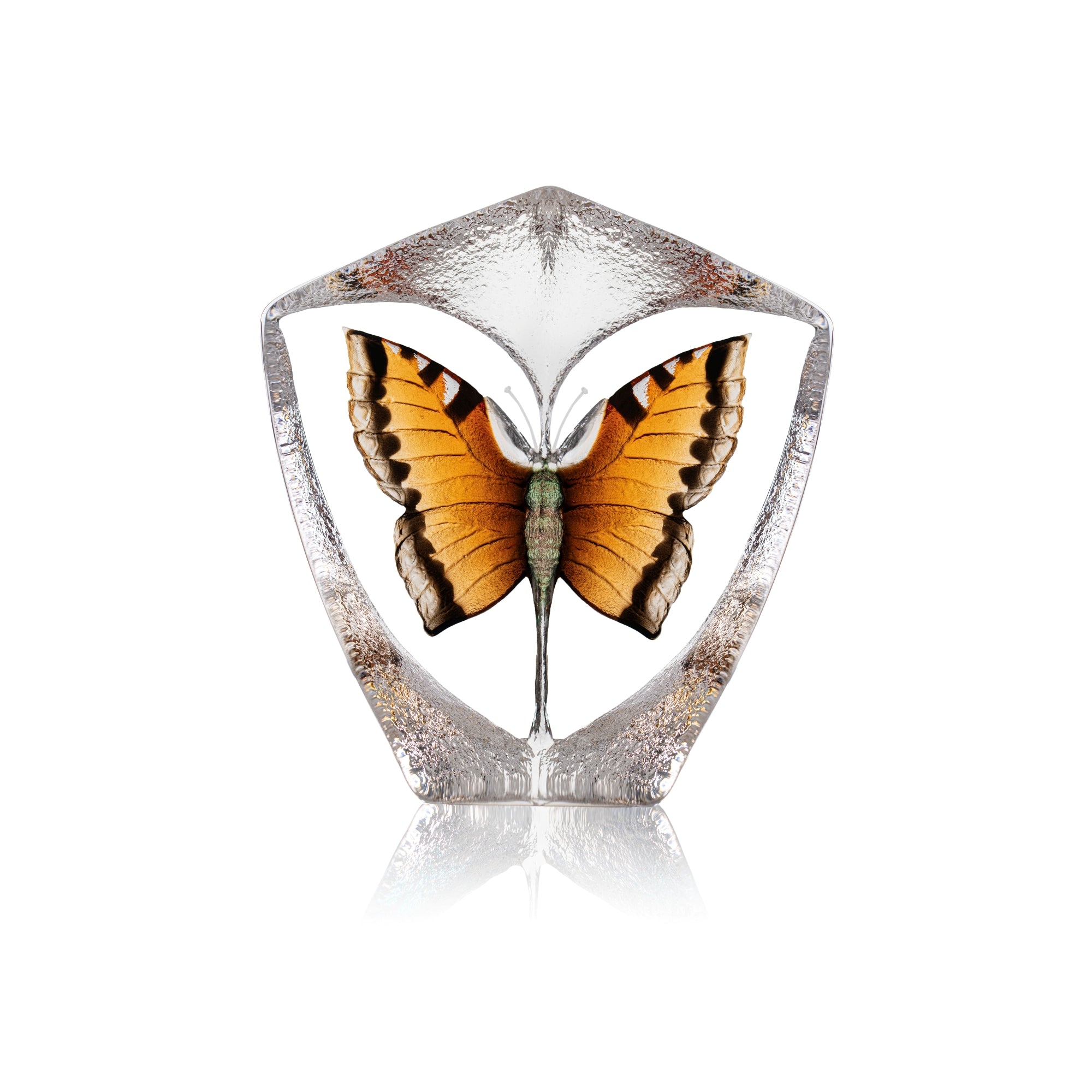 Målerås Butterfly orange