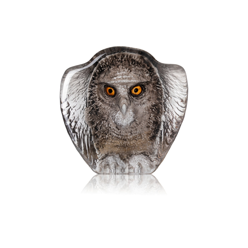 Owl WL painted - NEW