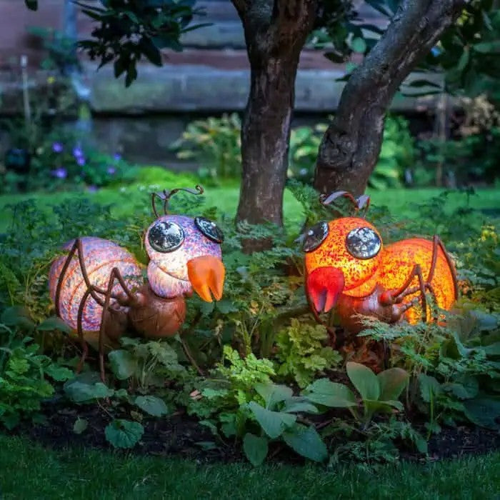 Amy red - orange LAMP