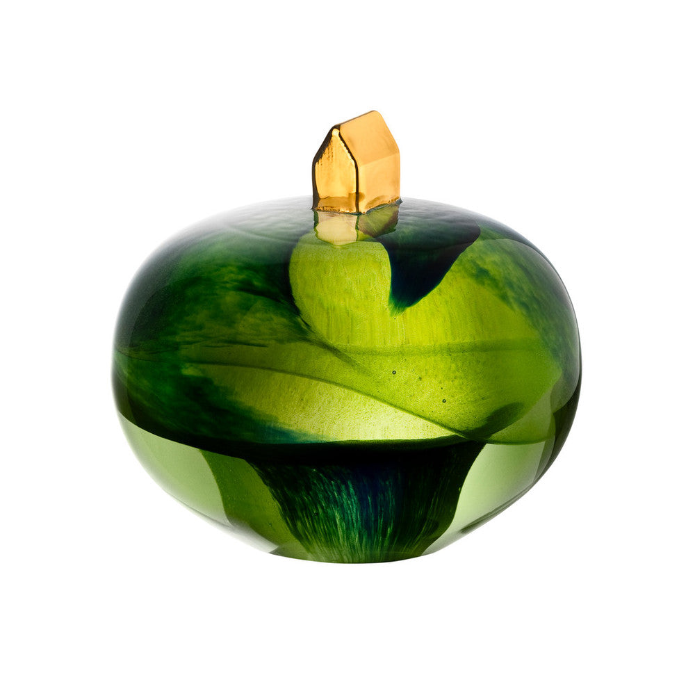 Kosta Boda Earth Home glass by Bertil Vallien