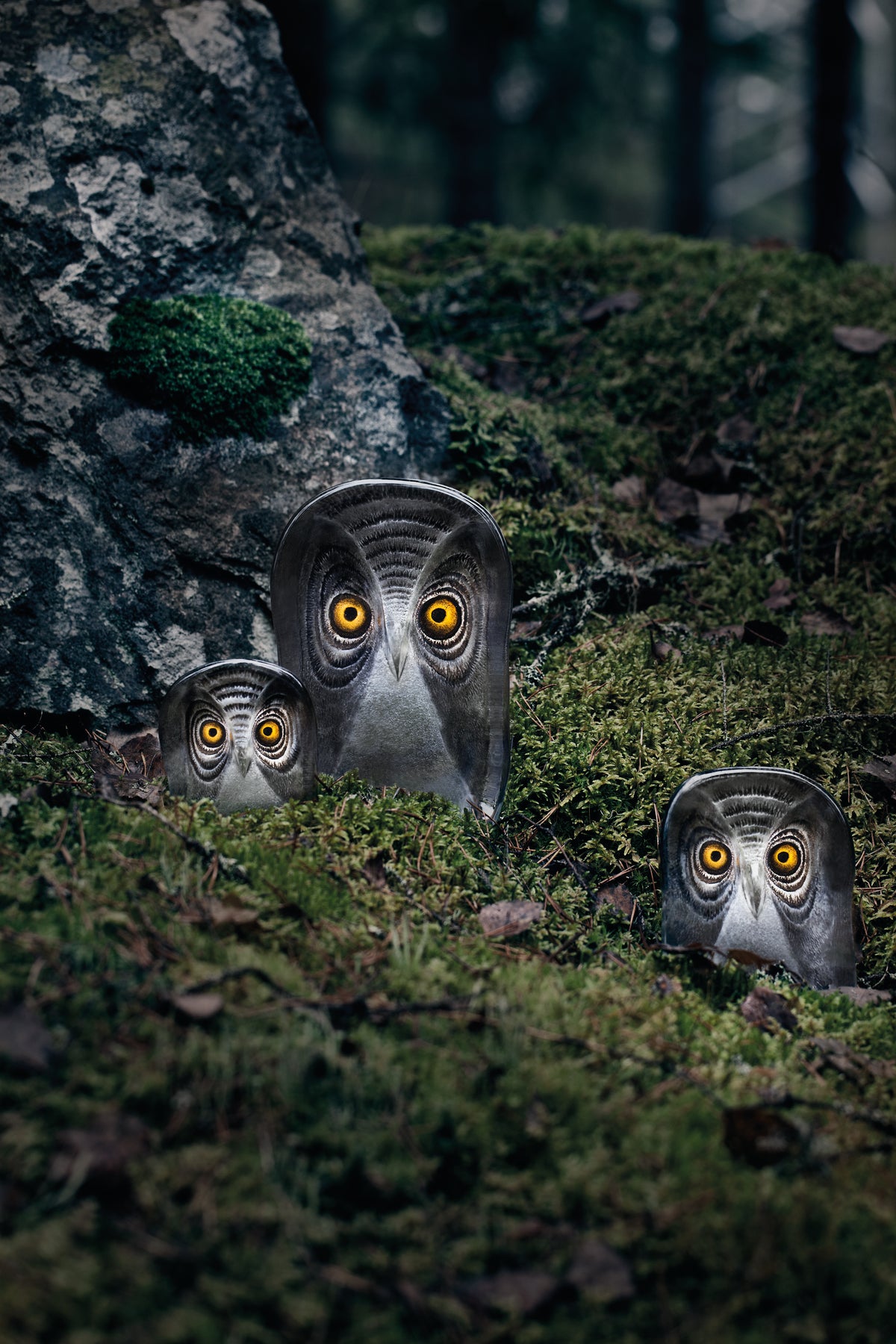 Maleras glass three owl statues with yellow eyes on a mossy stone background