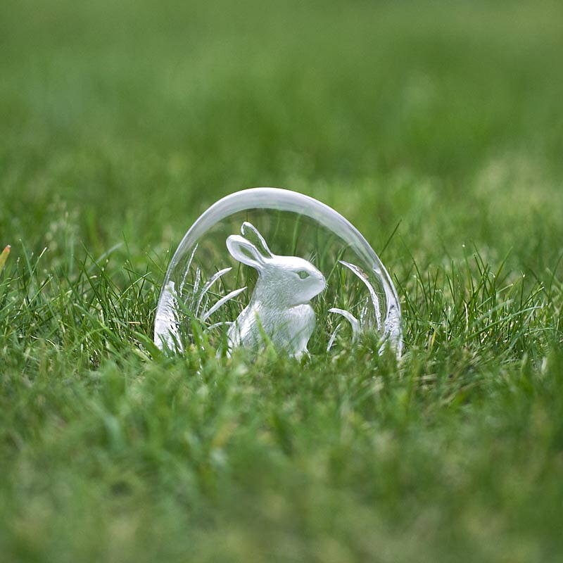 Målerås Rabbit Clear