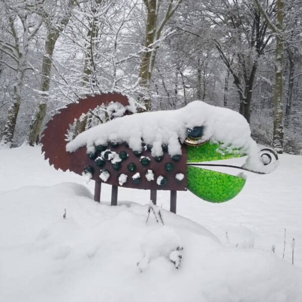 Chameleon - green