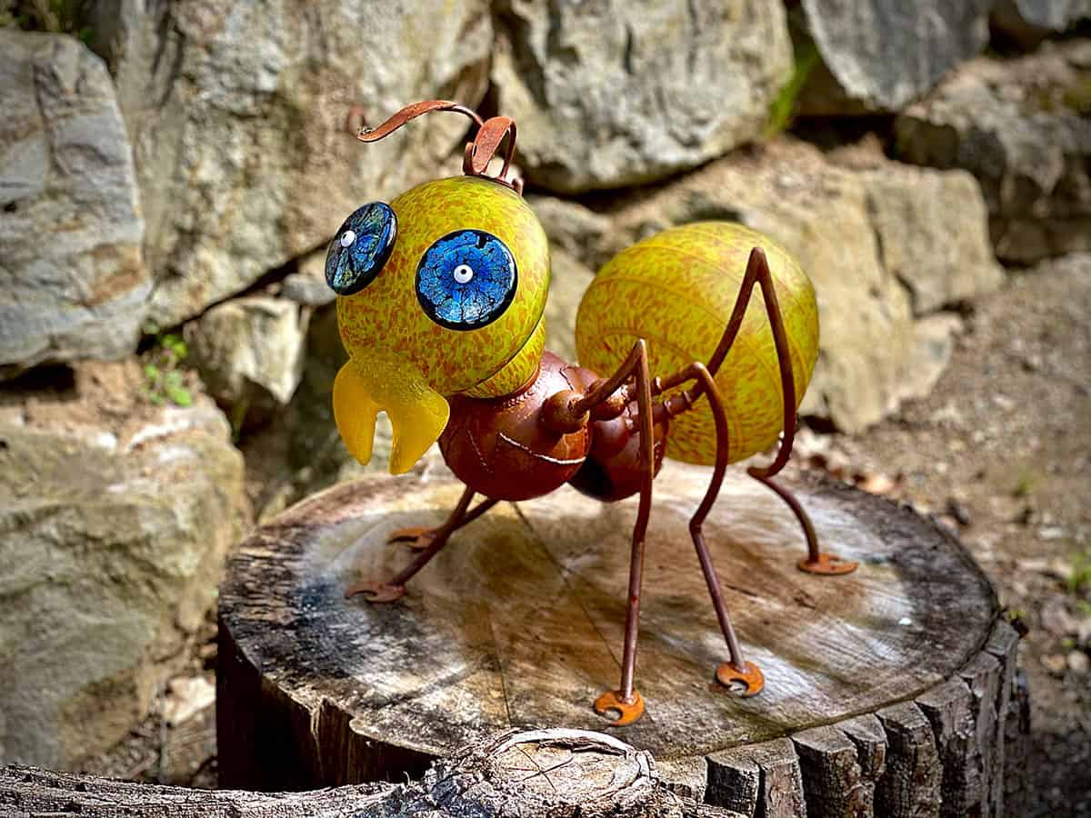 Amy yellow- olive LAMP