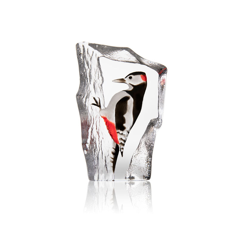 Woodpecker by Mats Jonasson