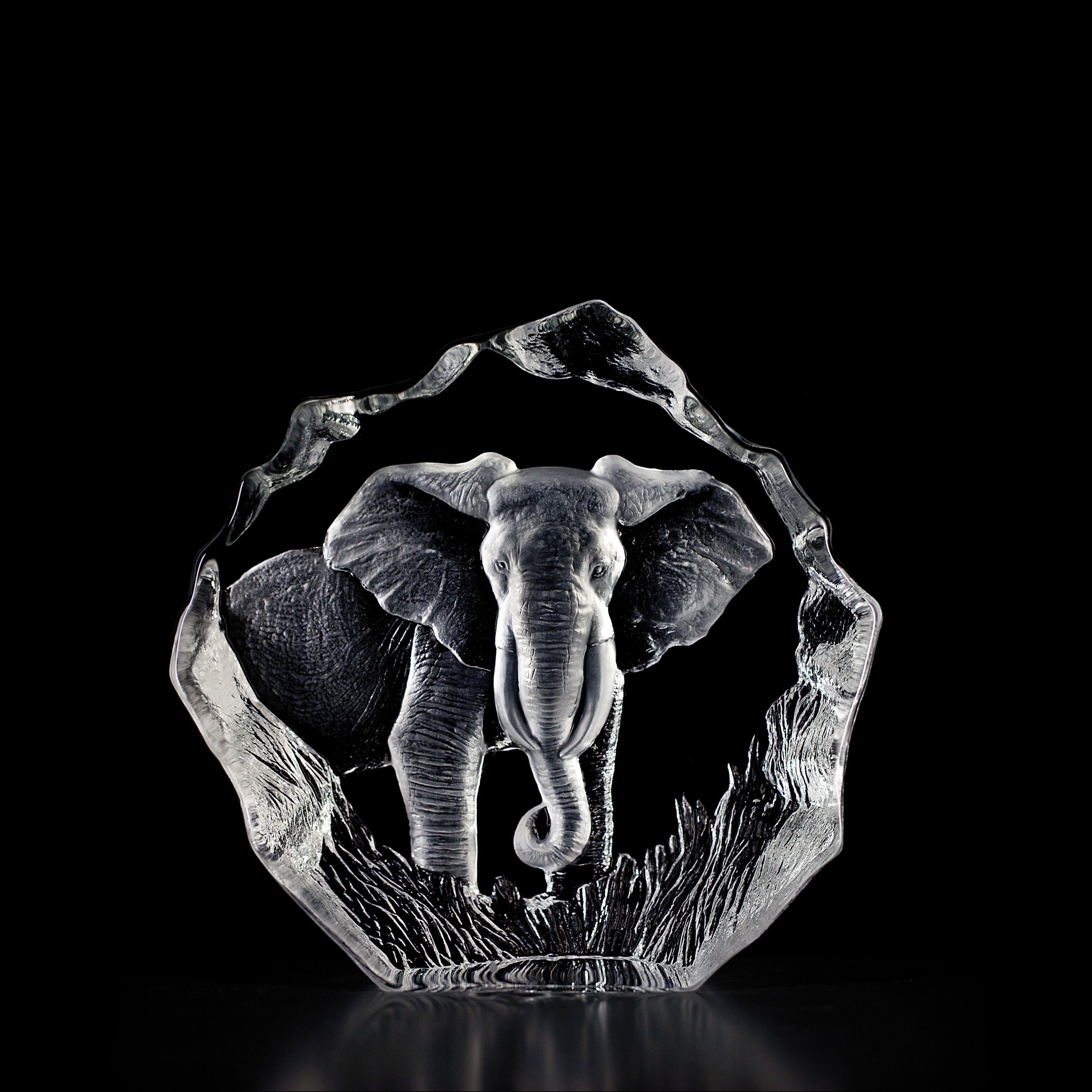 Crystal sculpture of an elephant on a black background