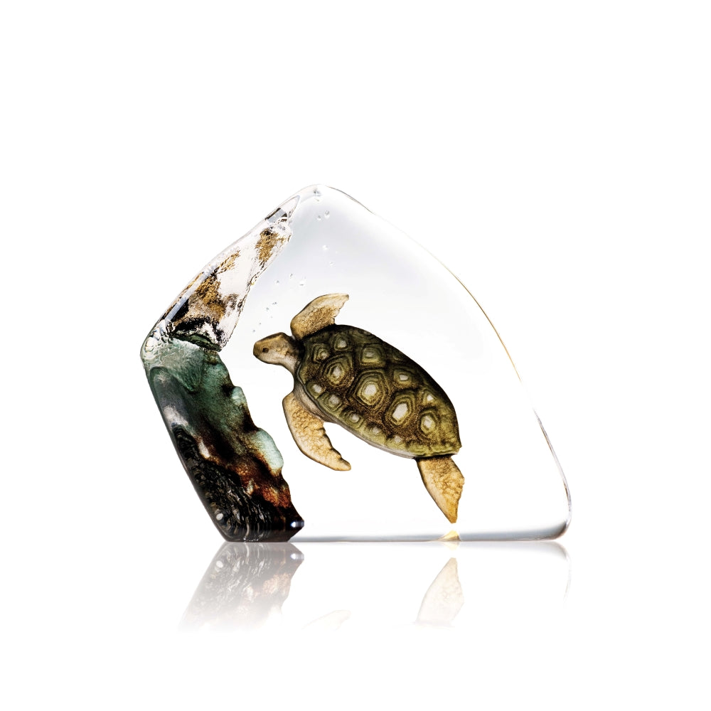 Målerås Sea Turtle
