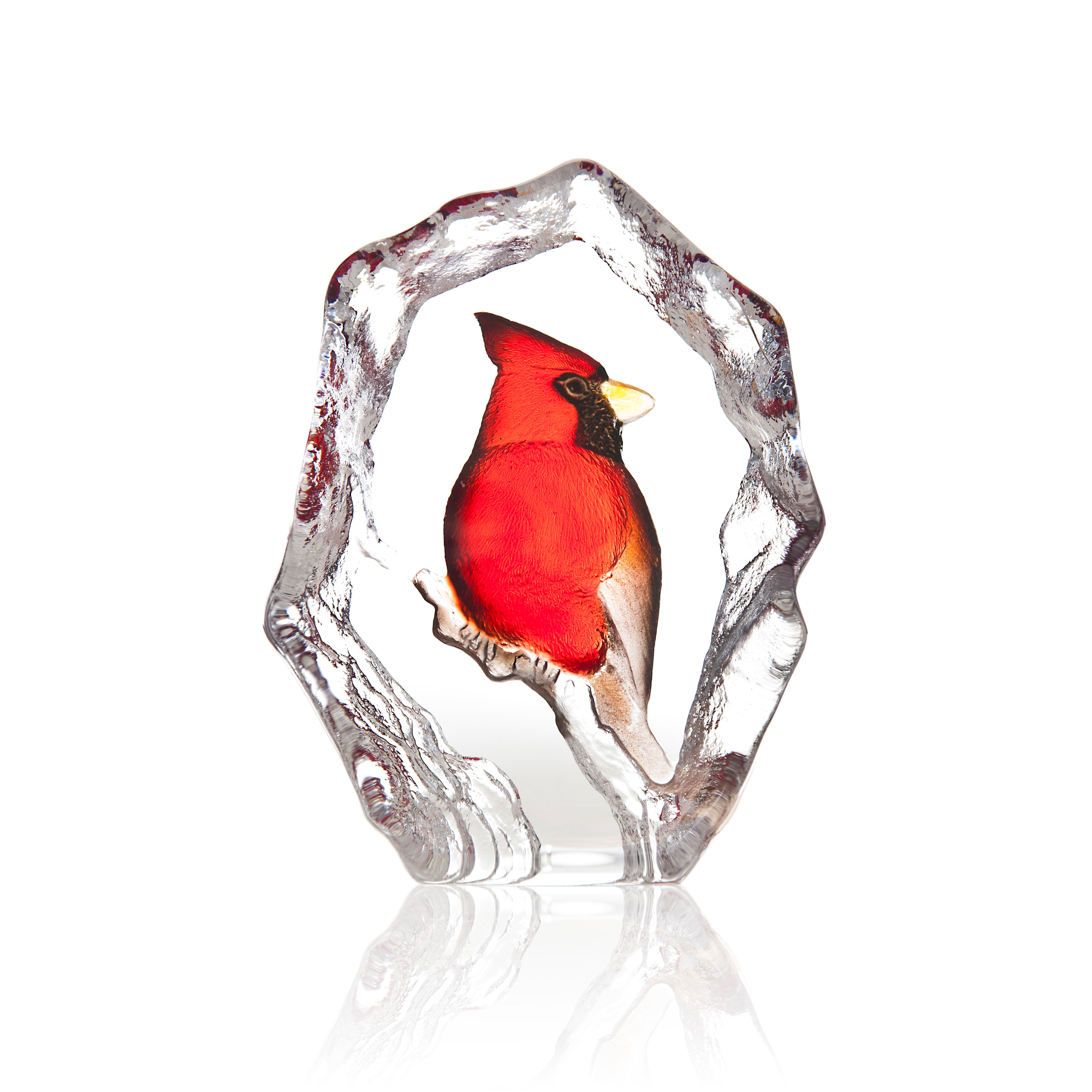 Bird Red Cardinal