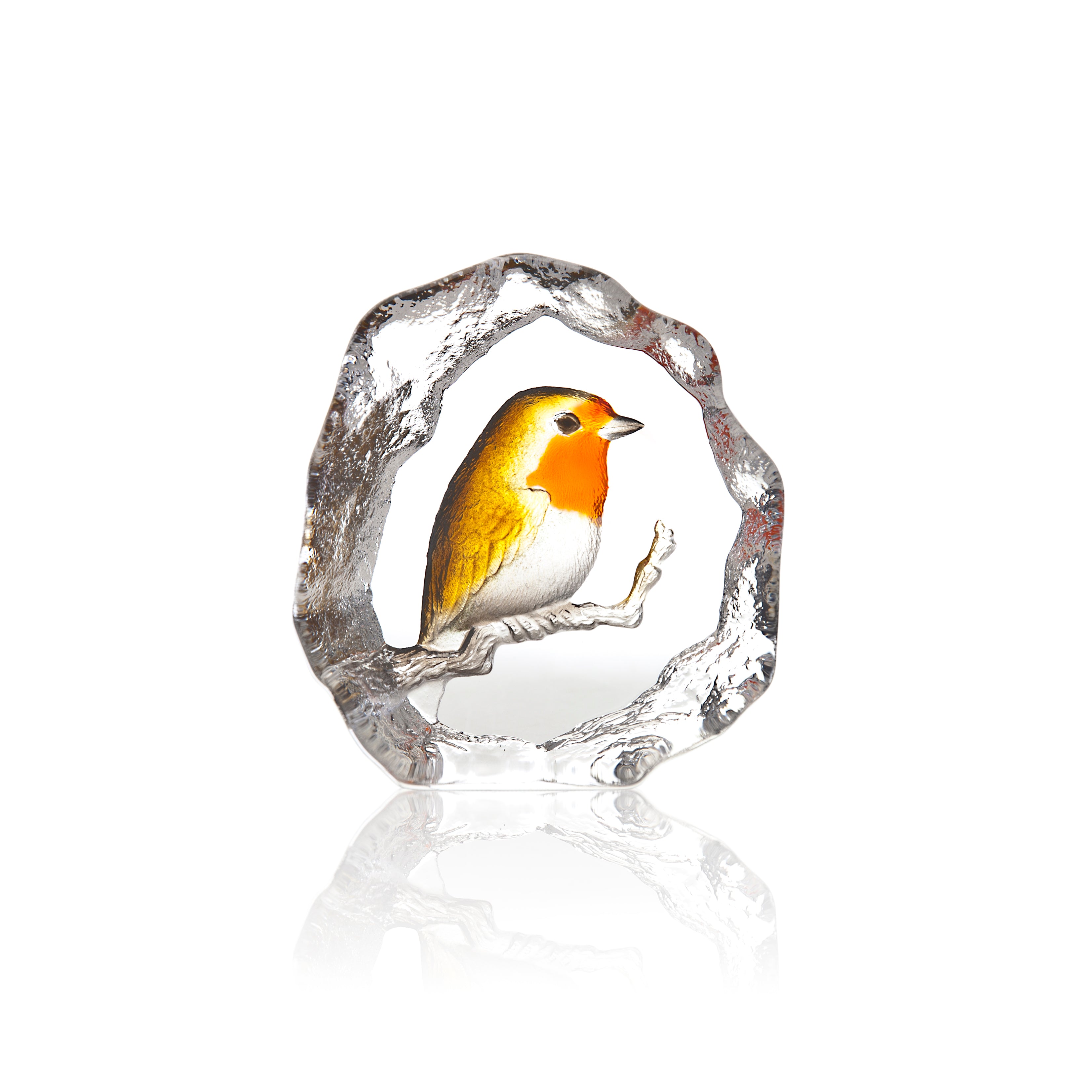 Bird Robin