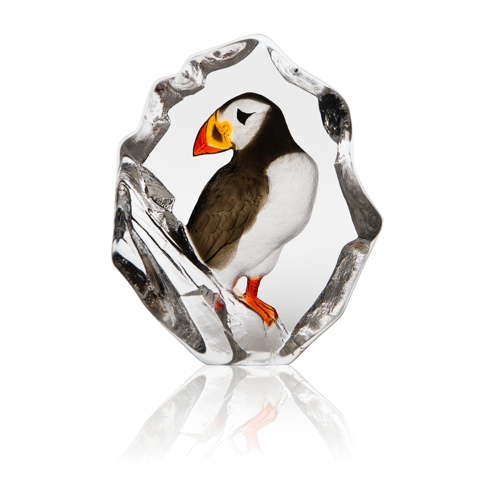 Bird Puffin