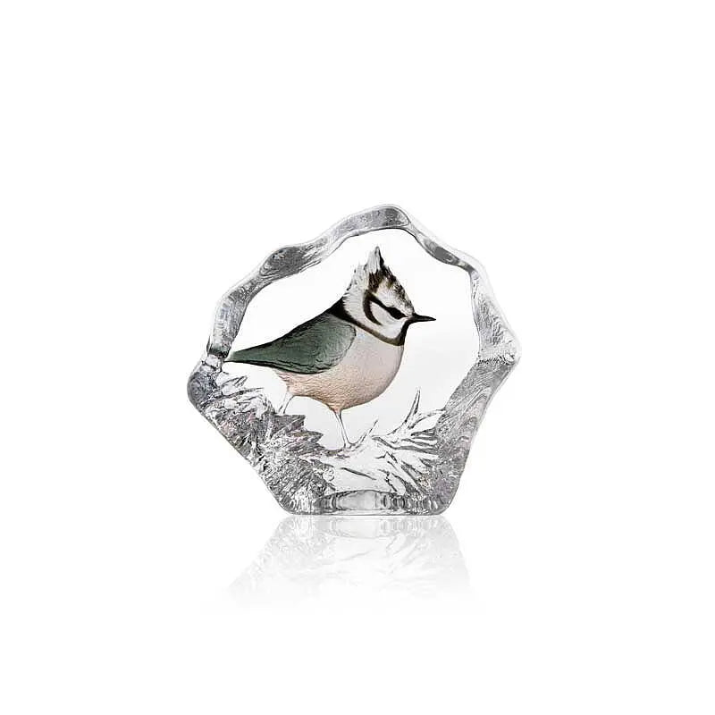 Bird Crest Tit