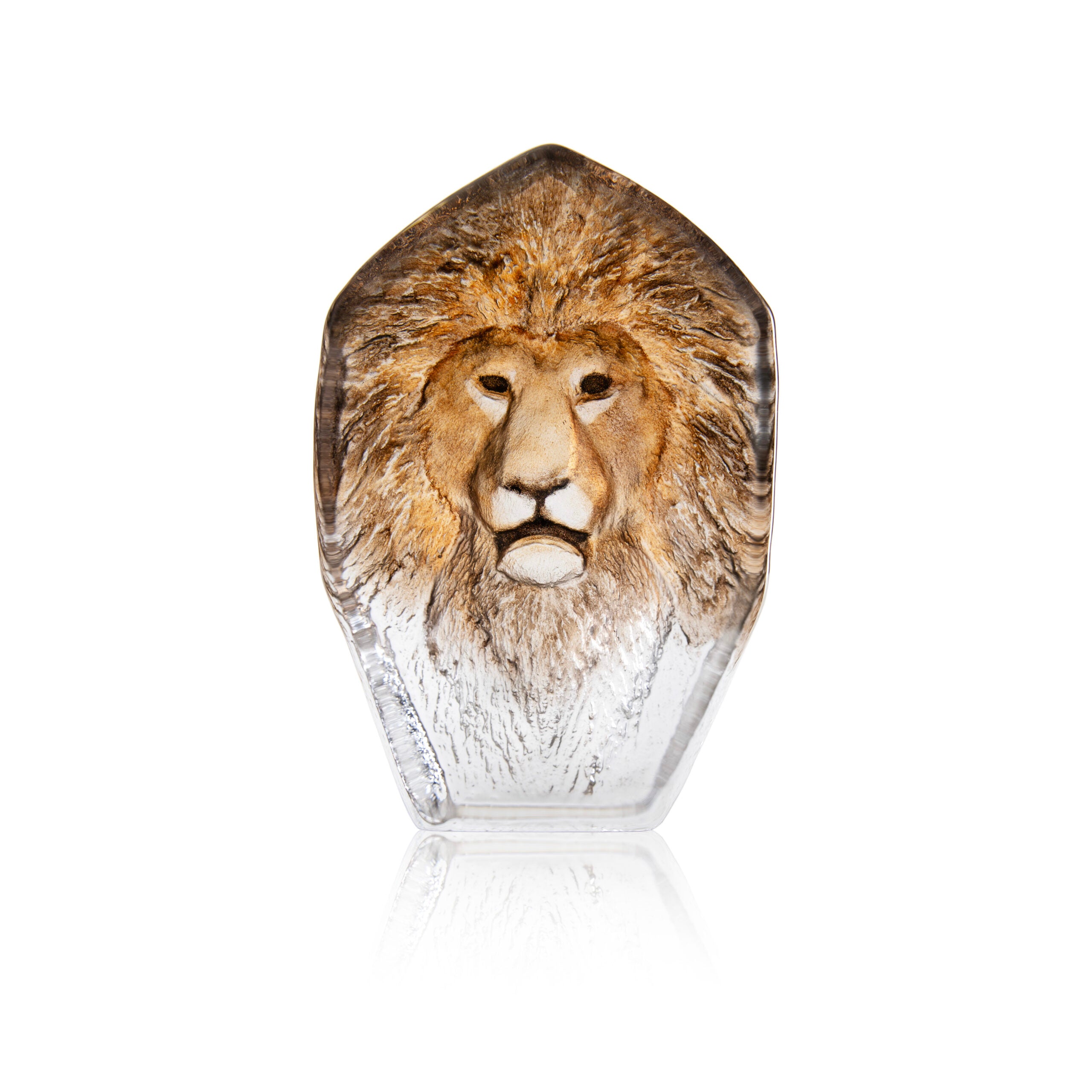 WL Lion - New