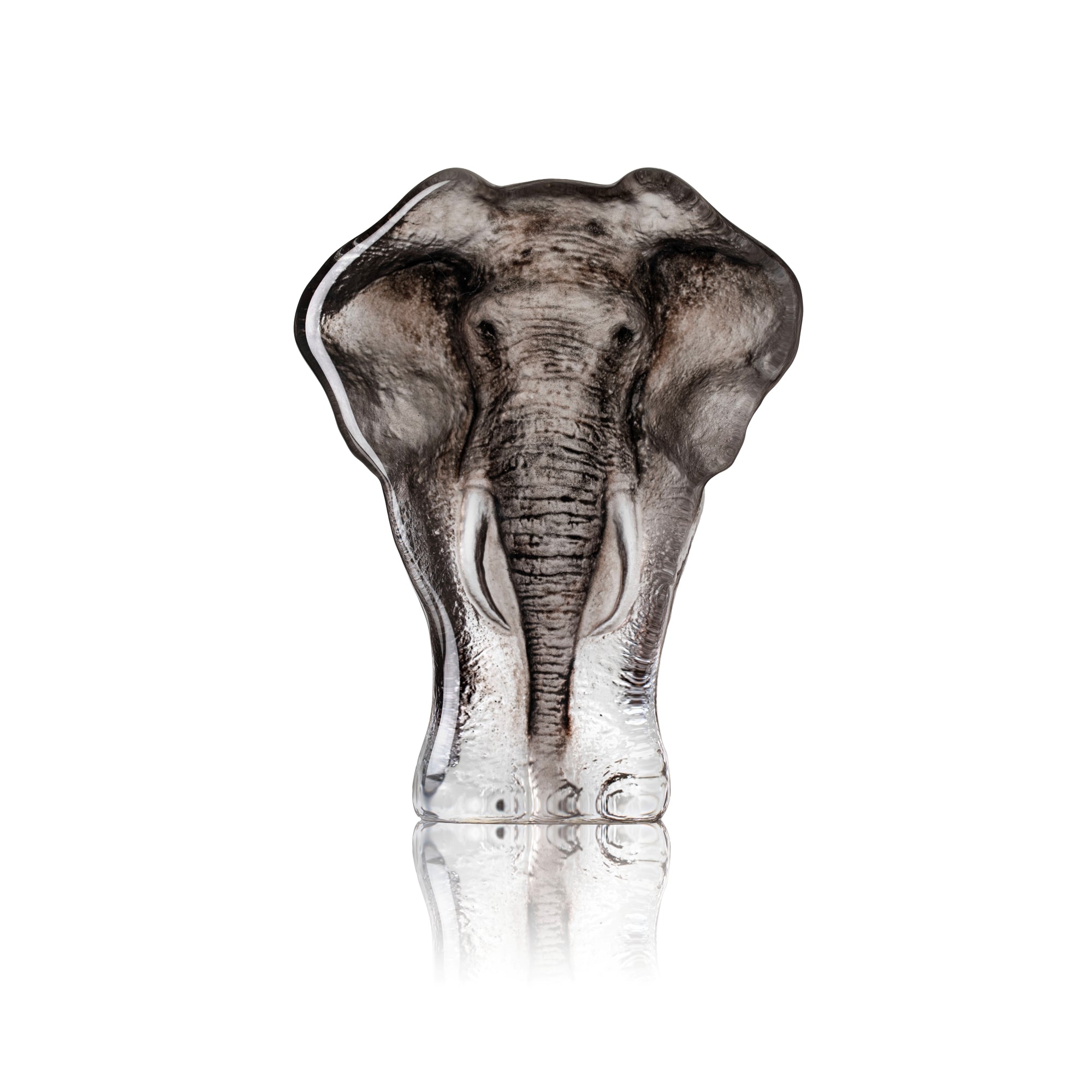 Målerås Wl Elephant ptd