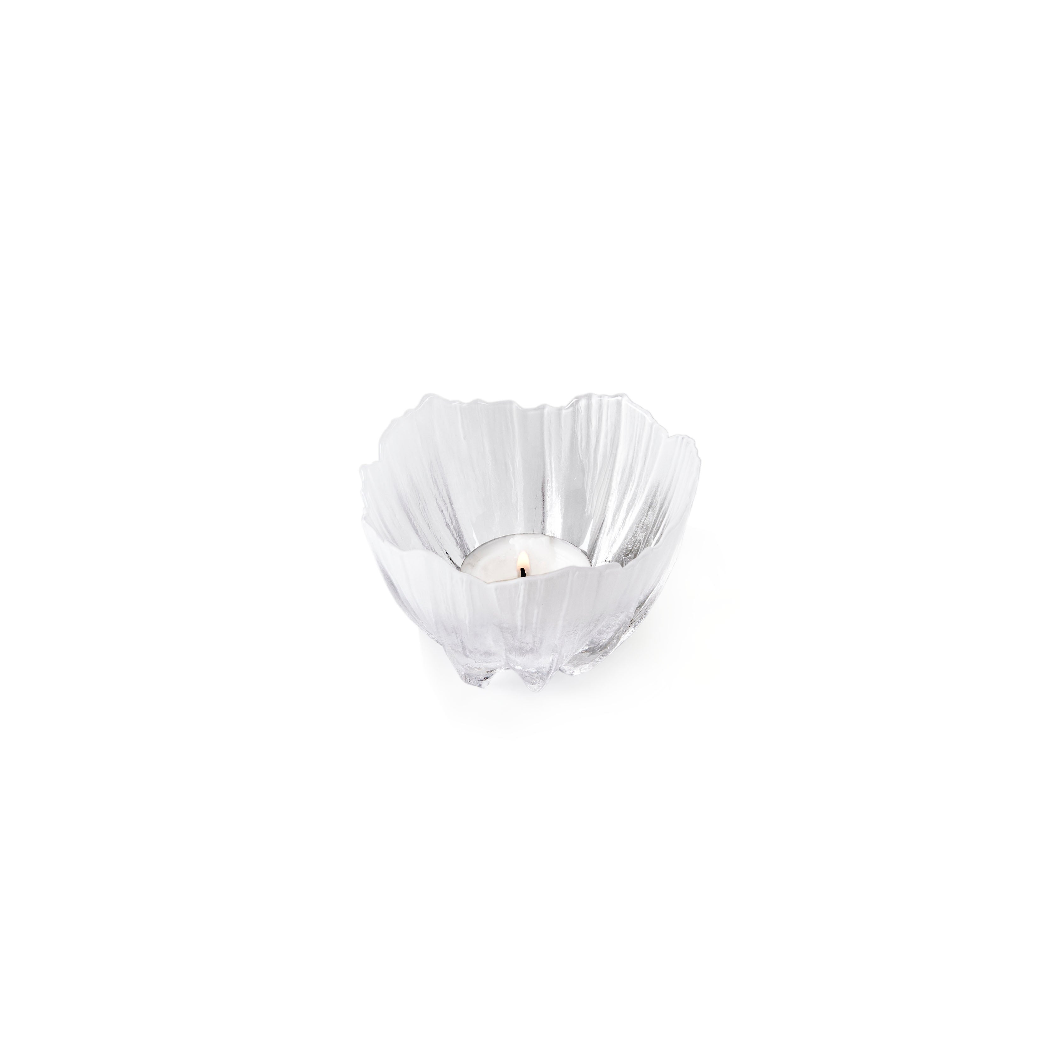 Anemone Votive