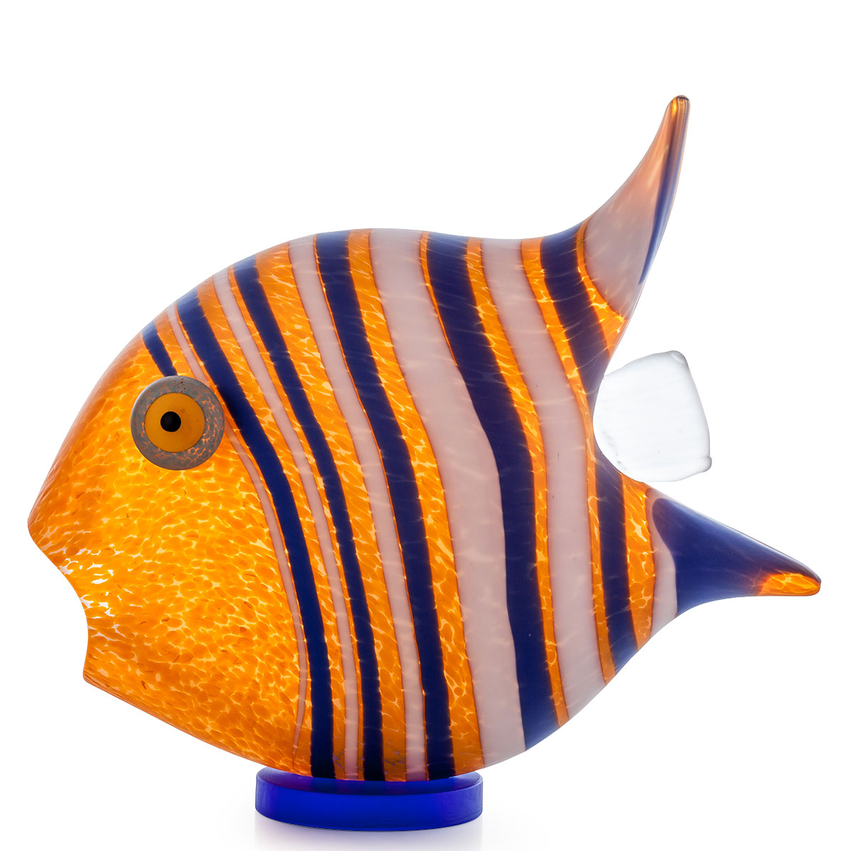 Borowski Angelfish orange