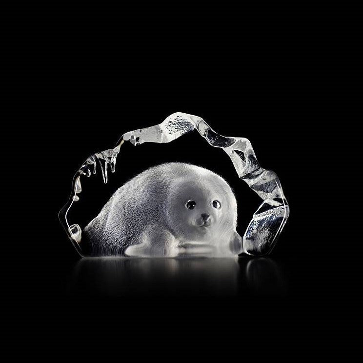 WL Baby Seal clear