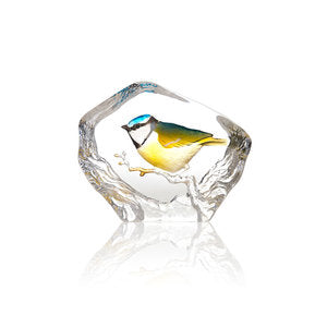 Bird Blue Tit