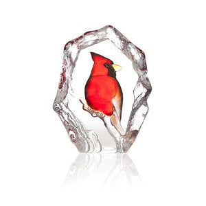Bird Red Cardinal