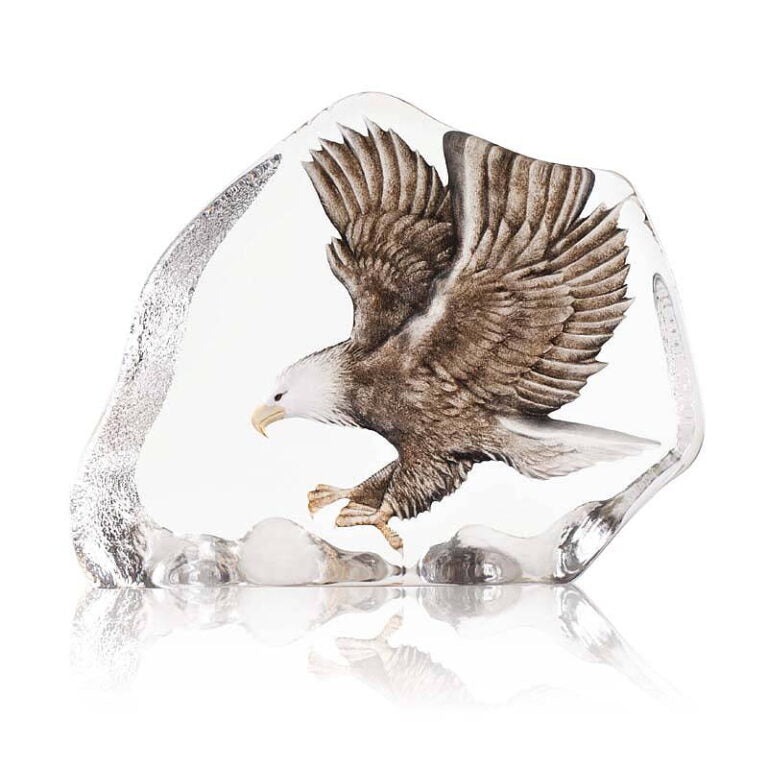 Bird - Sea Eagle
