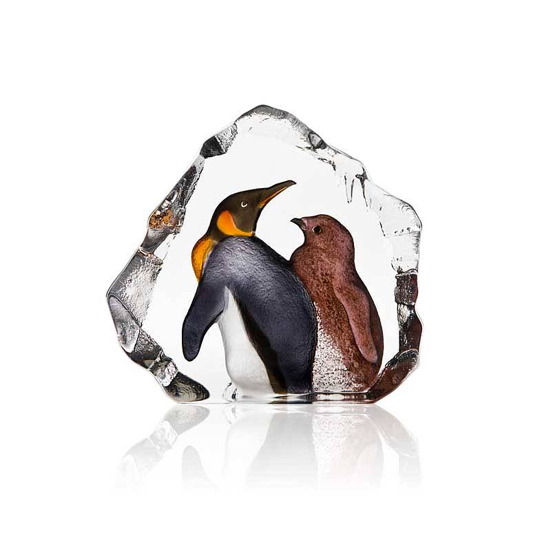 Bird King Penguin & baby