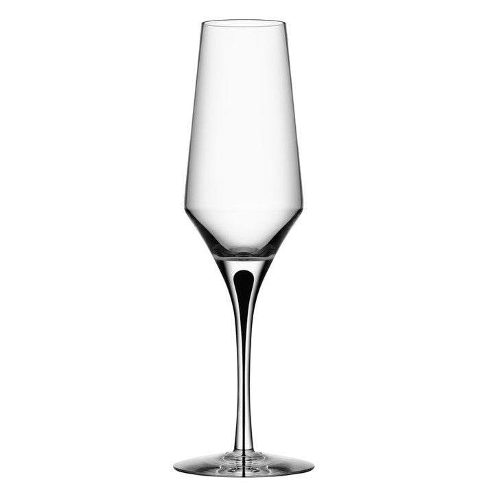 Orrefors Metropol champagne glass 27cl.