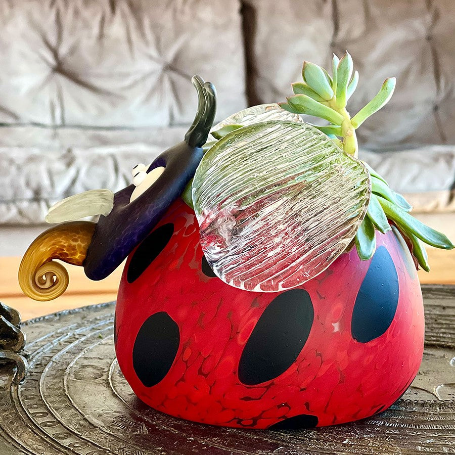 Mario-Ladybird