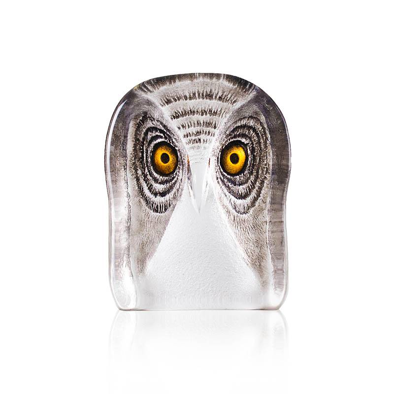 Owl medium