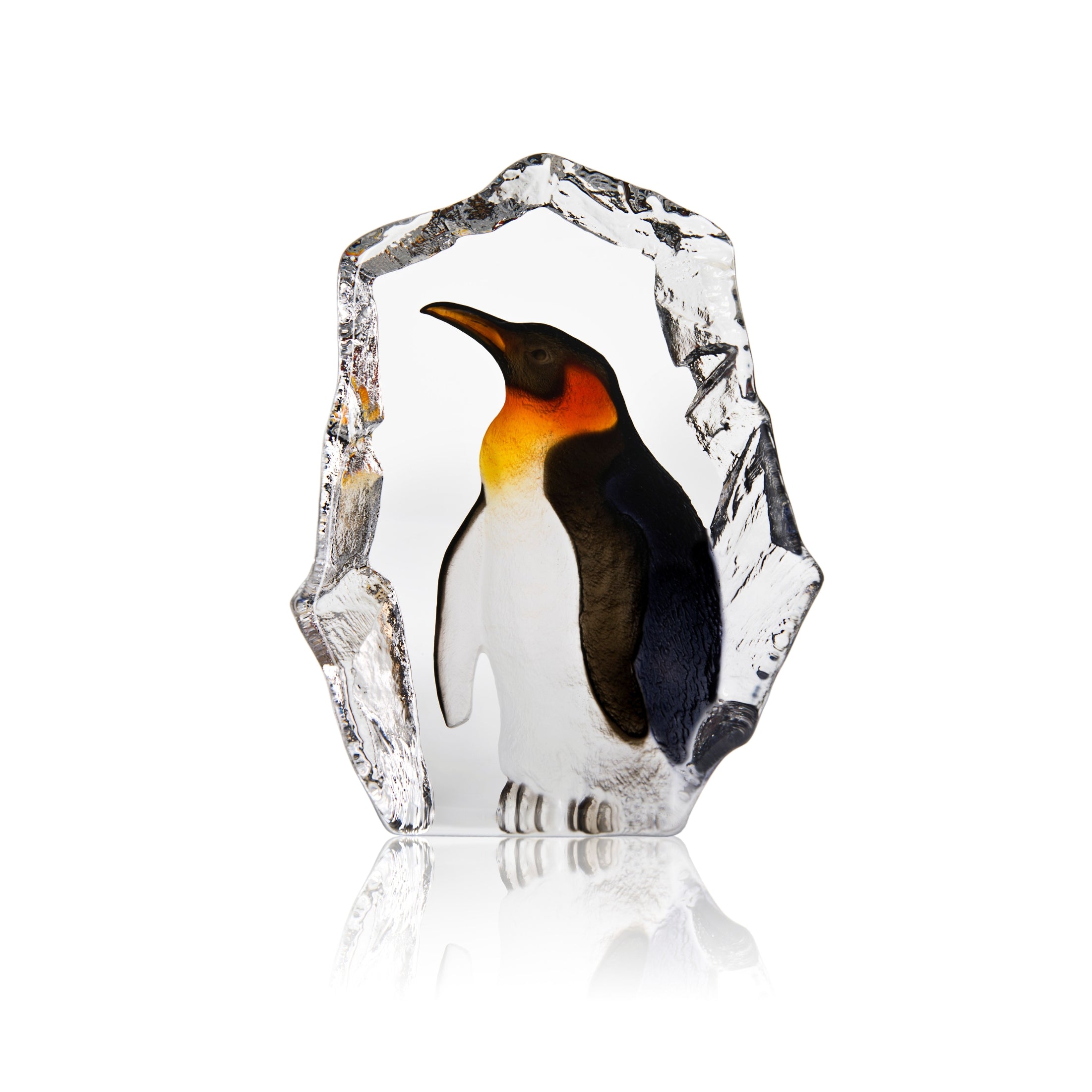 Bird Penguin