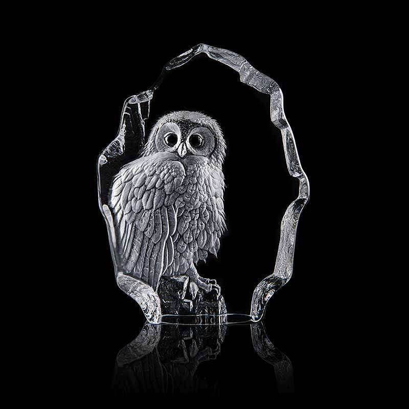 Malears Tawny Owl by Mats Jonasson