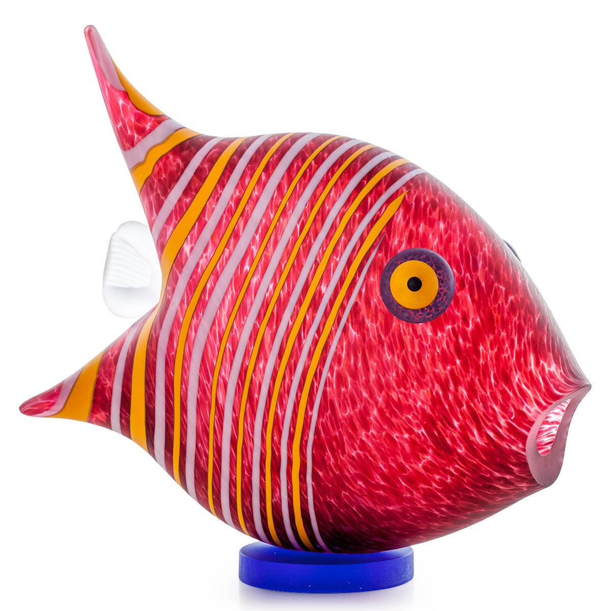 Angelfish