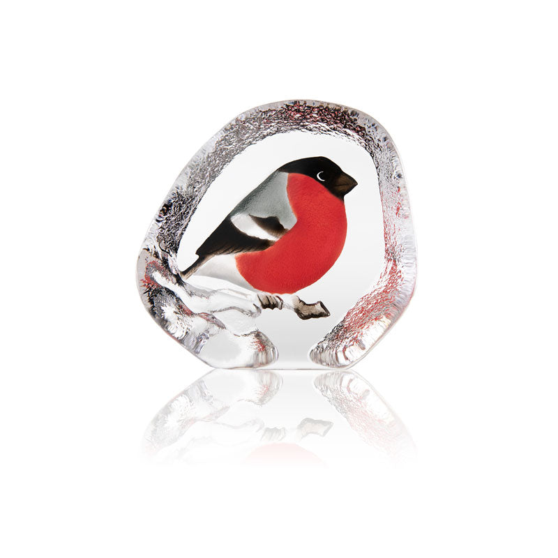 Bullfinch glass sculpture by Mats Jonasson