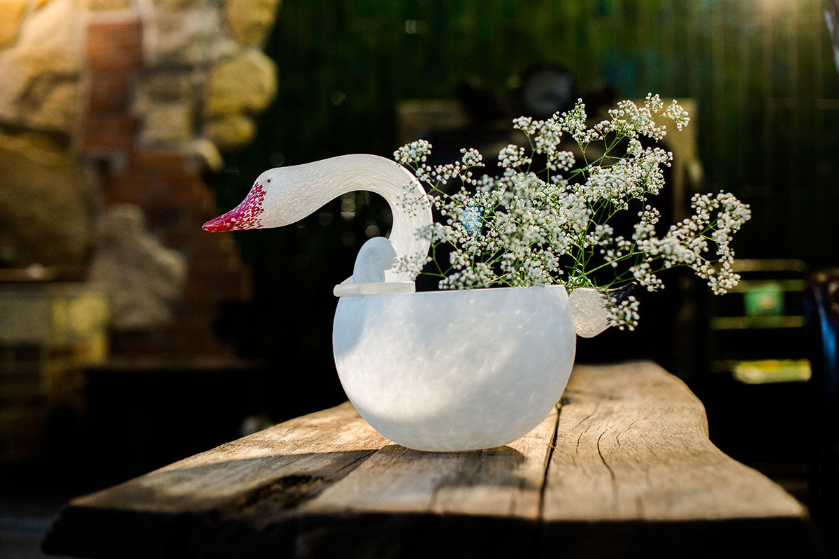 Cygnet