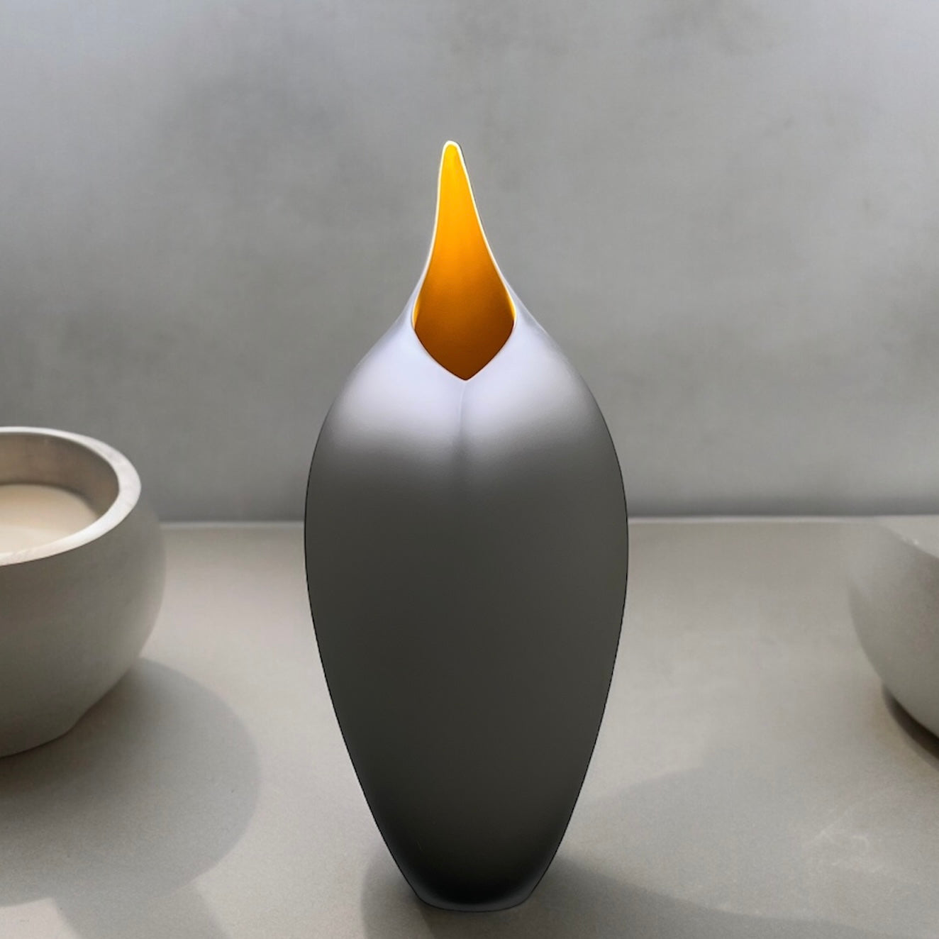 Bird grey