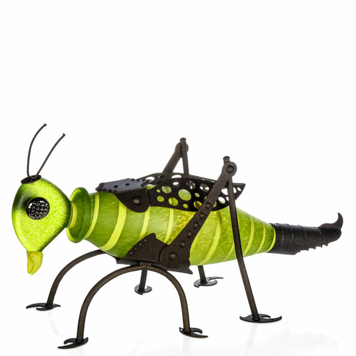 Borowski Jumper garden object