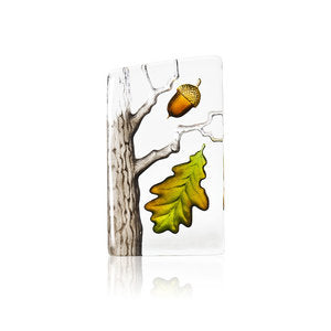 FL Oak Tree sml.