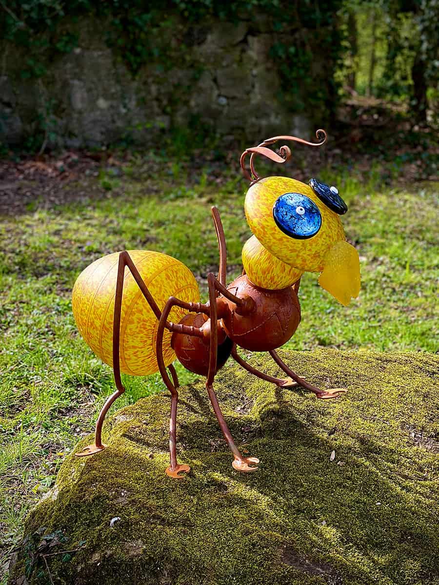 Amy yellow- olive LAMP