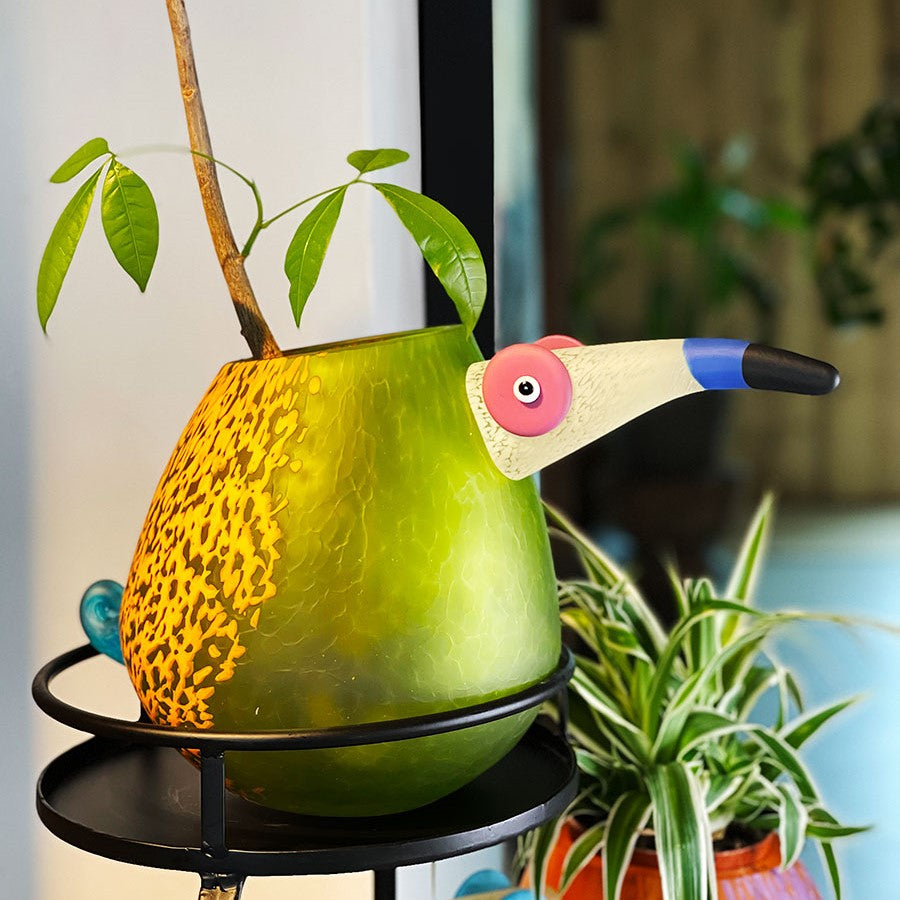Pico lime-orange
