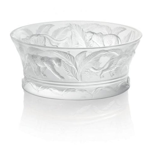 Jungle Bowl