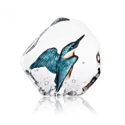 Kingfisher by mats Jonasson