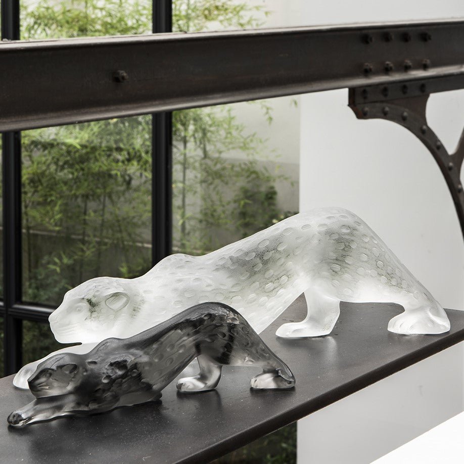 Panther Zeila clear large